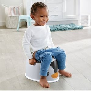 Fisher price potty